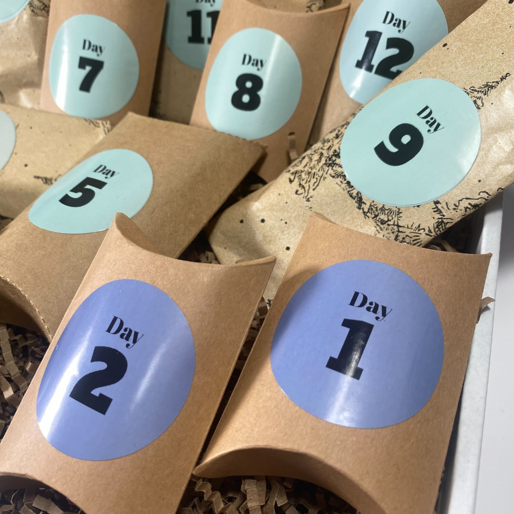 PREORDER - 🎄 12 Days of Christmas – Book Lover’s Advent Calendar 🎄